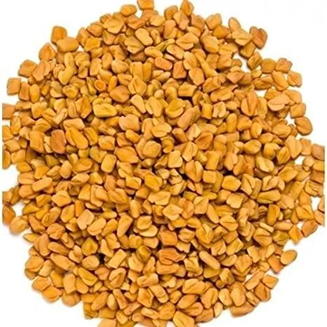 Fenugreek/Methi Dana (Premium Quality) 100g