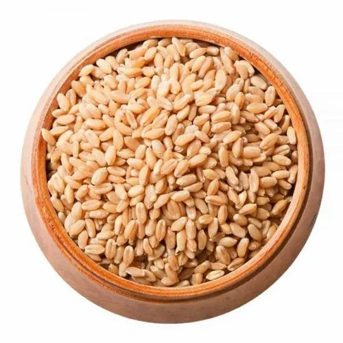 Shahnai gehu (wheat) 5kg